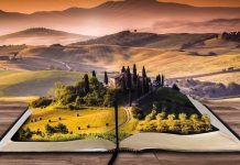 ALTERNATIVAT E KAMATËS NË FINANCIMIN E KAPITALIT TË SIPËRMARRJEVE