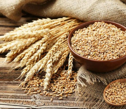 A hiqen shpenzimet që janë bërë dhe nga pjesa e mbetur e grurit pastaj jepet zekati?
