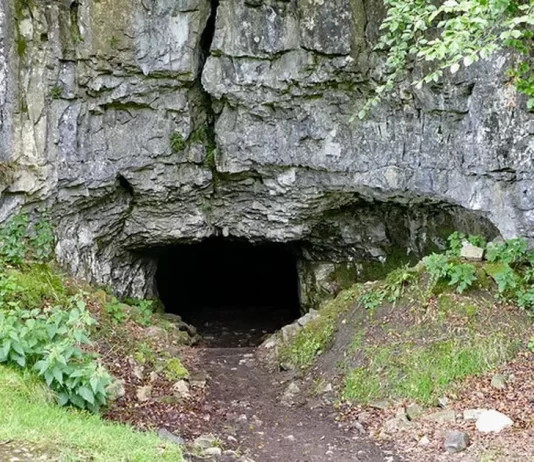 Investimi i Pagave të Papaguara