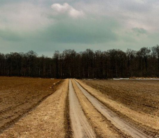 Muzara‘a – Qiradhënia e Tokës