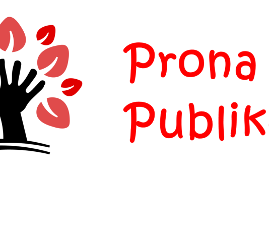 Prona Publike