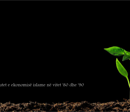 Kontributet e ekonomisë islame në vitet ’80 dhe ’90