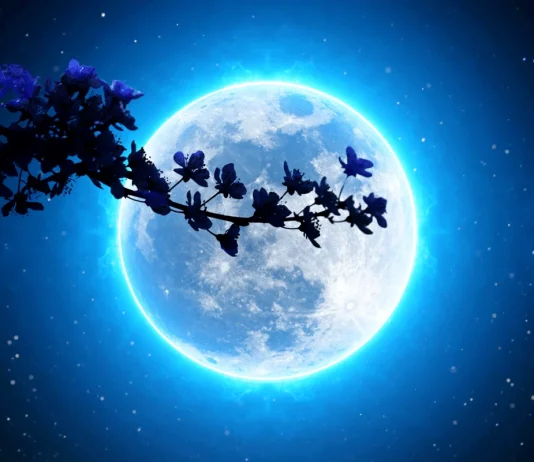 A është shirk të bazohesh gjatë mbjelljes së bimëve te fazat e hënës?