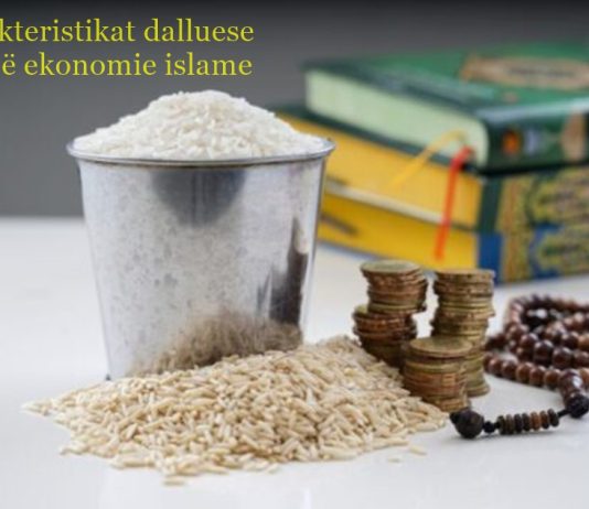 Karakteristikat dalluese të një ekonomie islame
