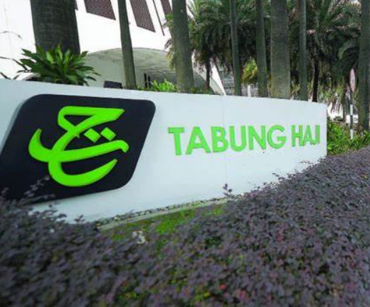 Institucion i veçantë financiar