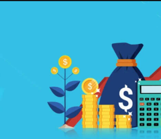 Ndarja e fitimit bruto