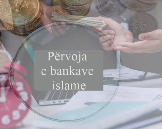 Përvoja e bankave islame: Disa përfundime