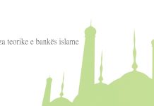 Baza teorike e bankës islame