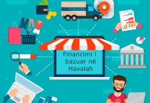 Financimi i bazuar në Havalah