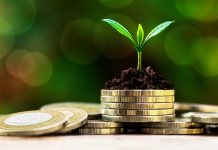 Si të llogarisim zekatin e pasurisë në të holla