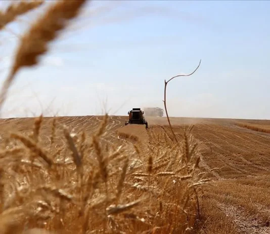 Turqia thyen rekord në prodhimin bujqësor, hyn në 7 vendet e para në botë