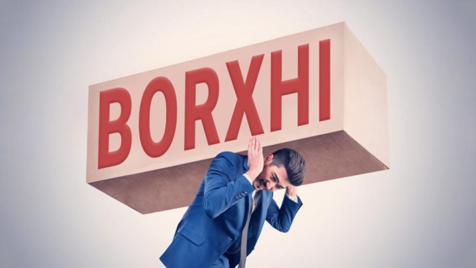 BORXHI-1100x620-1