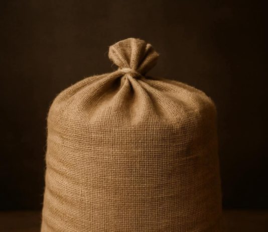 Thesi i grisur – Kur të mirat humben pa u vërejtur