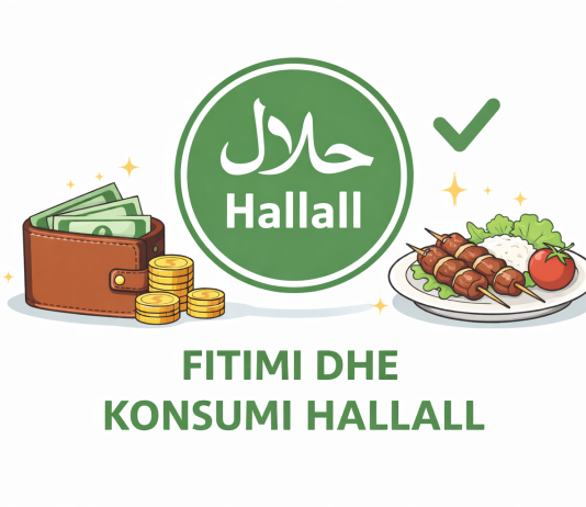 Fito dhe konsumo hallall